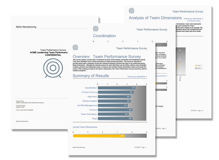 Download a sample Team Performance Report