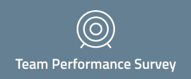 Team Performance Survey