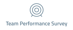 Team Performance Survey